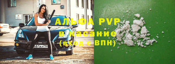 эйфоретик Белокуриха
